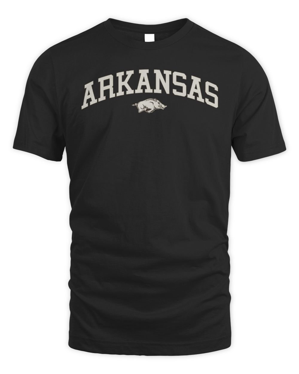 Arkansas Razorbacks Back Bay Hoodie