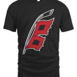 Carolina Hurricanes Fanatics Elevated Essential T-Shirt Hoodie