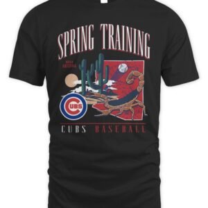 Chicago Cubs Spring Training 2026 '47 Franklin T-Shirt