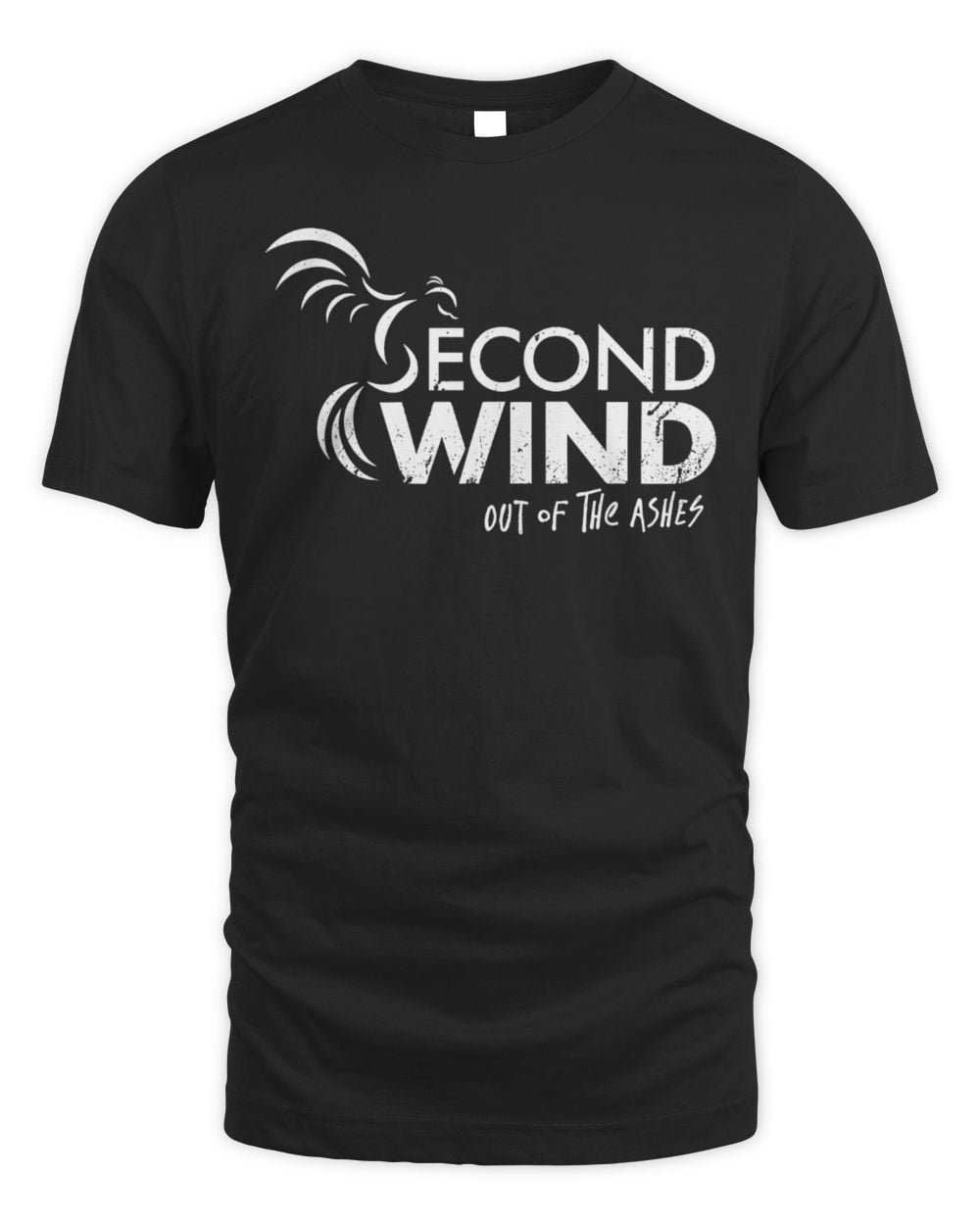 DFTBA Shop Second Wind Out of the Ashes Shirt