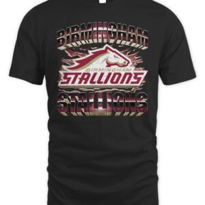 Birmingham Stallions Vintage T-Shirt